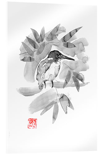 Acrylic print King fisher