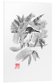 Foam board print King fisher