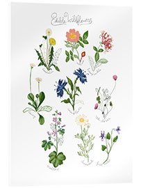 Acrylglas print Edible Wildflowers