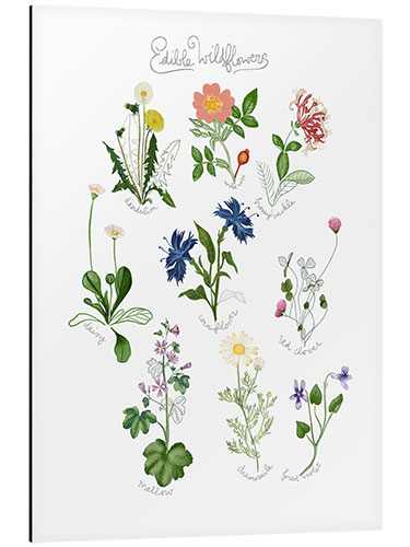 Aluminium print Edible Wildflowers