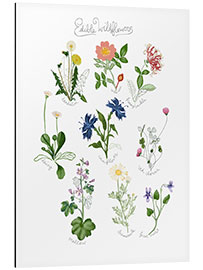 Aluminium print Edible Wildflowers