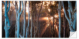 Sticker mural Rays of light in the ghost forest