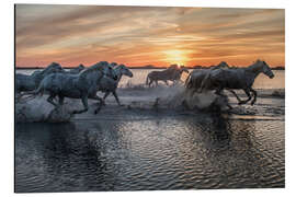 Aluminium print Horses running through water at sunrise