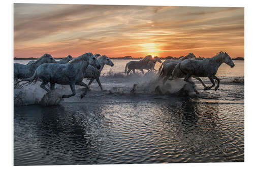 Foam board print Horses running through water at sunrise