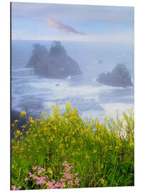 Aluminium print Wild mustard on cliff above coastline