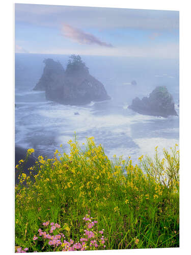 Quadro em PVC Wild mustard on cliff above coastline