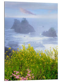 Galleriataulu Wild mustard on cliff above coastline