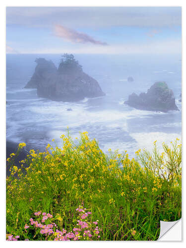 Vinilo para la pared Wild mustard on cliff above coastline