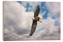 Tableau en bois Balkan eagles in search of prey