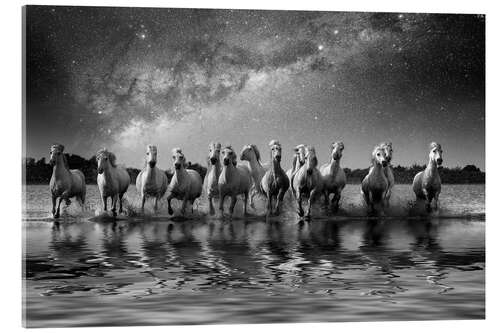 Stampa su vetro acrilico Milky Way and horses running through water