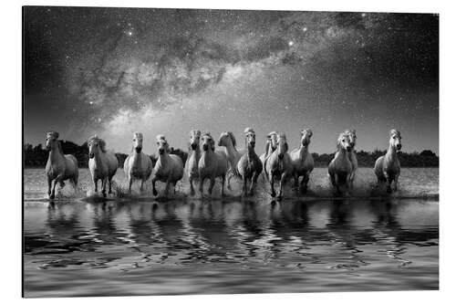 Aluminium print Milky Way and horses running through water