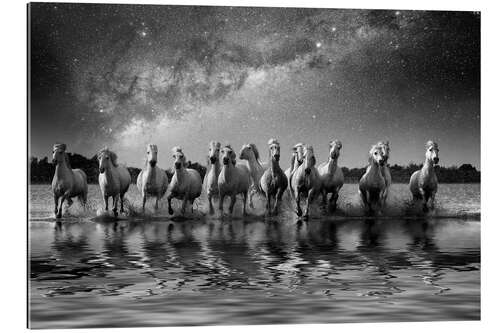 Gallery print Milky Way and horses running through water