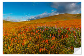 Vinilo para la pared Field with California poppies