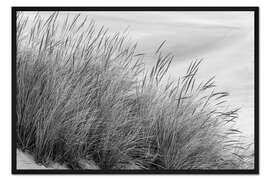 Gerahmter Kunstdruck Gräser in den Dünen II