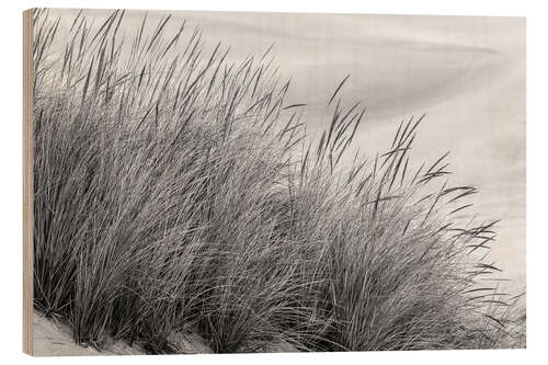 Hout print Grasses in the Dunes II