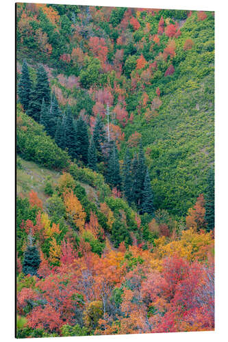 Tableau en aluminium East Canyon near Salt Lake City, Utah