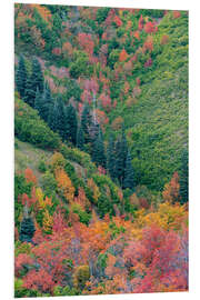 Foam board print East Canyon near Salt Lake City, Utah