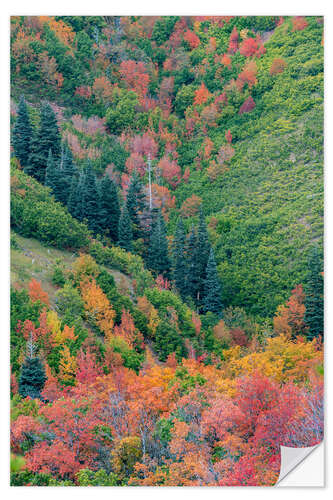 Naklejka na ścianę East Canyon near Salt Lake City, Utah