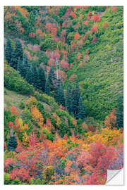 Wandsticker East Canyon in der Nähe von Salt Lake City, Utah