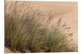 Gallery print Grasses in the Dunes III