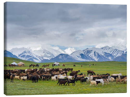 Tableau sur toile Traditional yurt in the Transalai Mountains