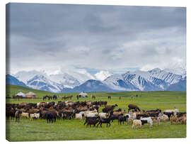 Tableau sur toile Traditional yurt in the Transalai Mountains - Martin Zwick