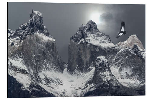 Aluminium print Andean condor and mountains in Torres del Paine National Park