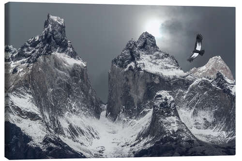 Lienzo Andean condor and mountains in Torres del Paine National Park