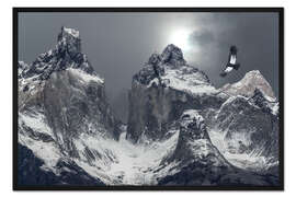 Gerahmter Kunstdruck Andenkondor und Berge im Torres del Paine National Park