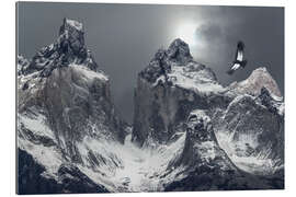 Galleritryck Andean condor and mountains in Torres del Paine National Park