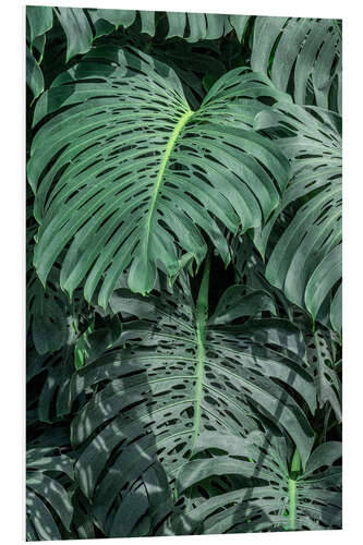 Bilde på skumplate Monstera leaves