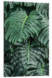 Gallery print Monstera leaves