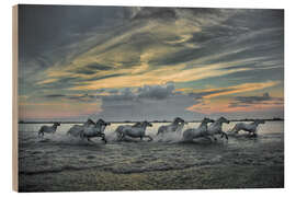 Holzbild Pferde laufen bei Sonnenaufgang durch den Sumpf - Jaynes Gallery