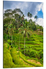 Magnettafel Reisfelder auf der Tegallalang Reisterrasse, Bali, Indonesien II
