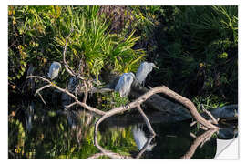 Wall sticker Great Egret