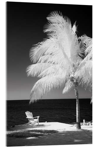 Akrylbilde Infrared palm trees along the Florida Keys