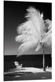 Aluminiumtavla Infrared palm trees along the Florida Keys