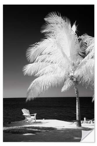 Selvklebende plakat Infrared palm trees along the Florida Keys