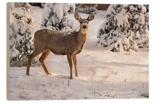 Holzbild Maultierhirsch-Ricke im Neuschnee