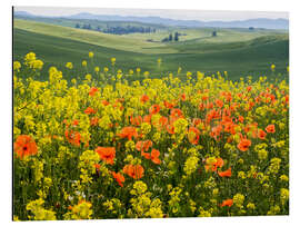 Tableau en aluminium Blooming wildflowers in the Palouse Country