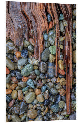 PVC print Driftwood and beach rocks