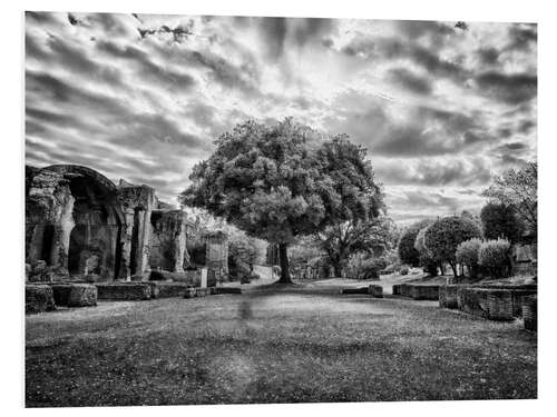 Stampa su PVC Tree in Villa Adriana