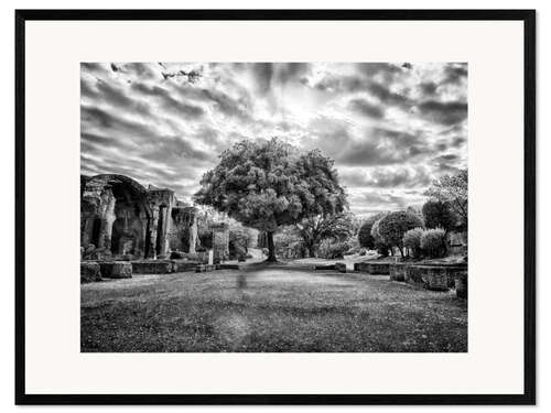 Inramat konsttryck Tree in Villa Adriana