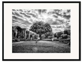 Inramat konsttryck Tree in Villa Adriana