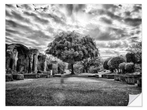 Wall sticker Tree in Villa Adriana