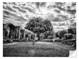 Naklejka na ścianę Tree in Villa Adriana