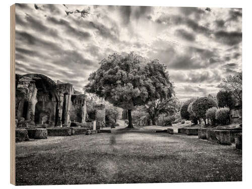 Wood print Tree in Villa Adriana