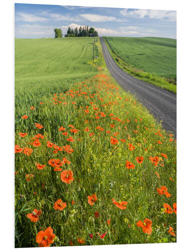 Foam board print Flowers along a country road in Palouse