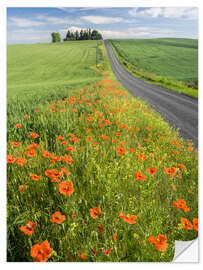 Vinilo para la pared Flowers along a country road in Palouse