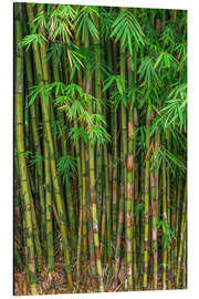 Tableau en aluminium Bamboo